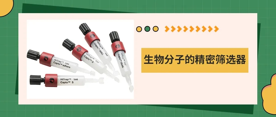 离子交换层析：生物分子的精密筛选器
