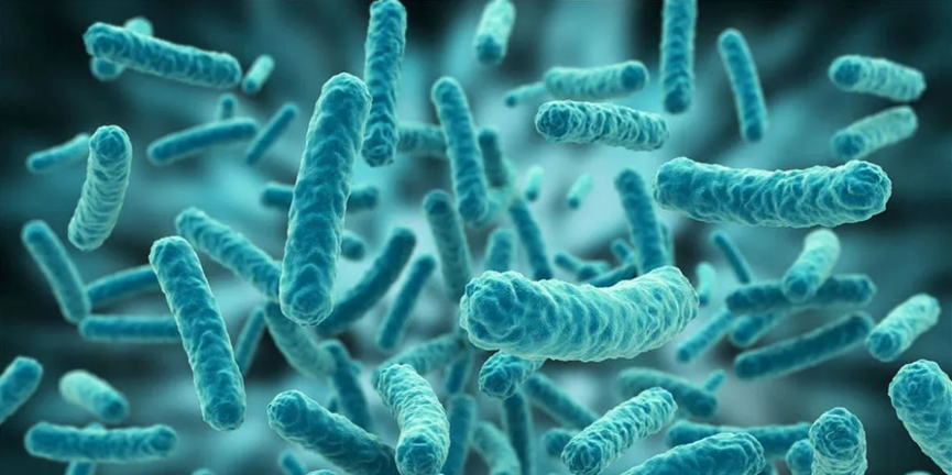 生物制药洁净密码：内毒素检测与控制策略全解析