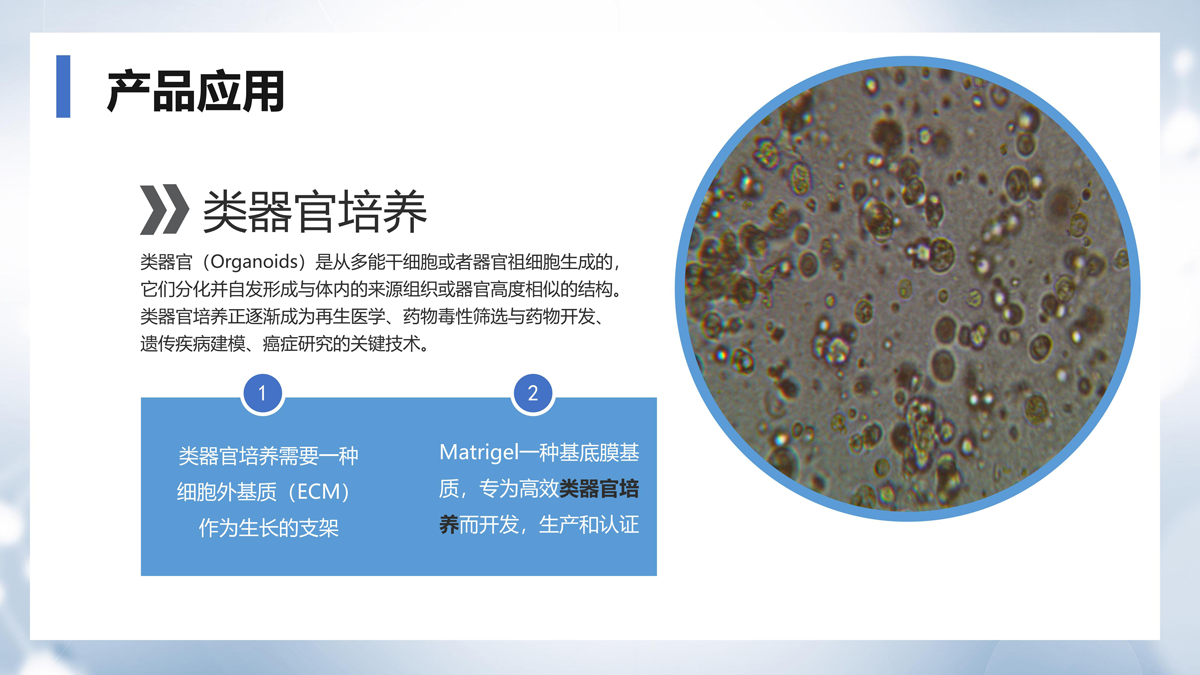 ABW基质胶产品介绍_11.png